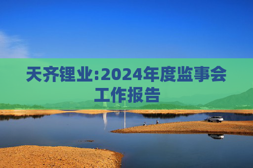 天齐锂业:2024年度监事会工作报告