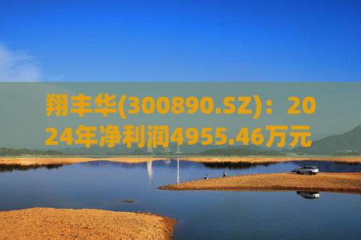 翔丰华(300890.SZ)：2024年净利润4955.46万元 同比下降40.23%