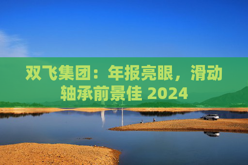 双飞集团：年报亮眼，滑动轴承前景佳 2024  第1张