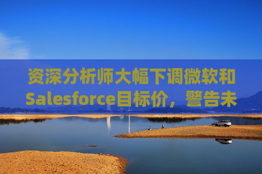 资深分析师大幅下调微软和Salesforce目标价，警告未来一年将"艰难"