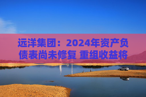 远洋集团：2024年资产负债表尚未修复 重组收益将于2025年释放