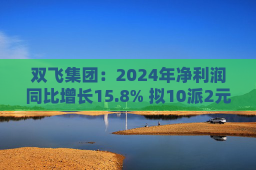 双飞集团：2024年净利润同比增长15.8% 拟10派2元  第1张