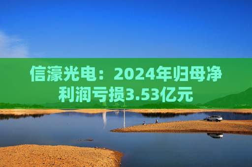 信濠光电：2024年归母净利润亏损3.53亿元  第1张