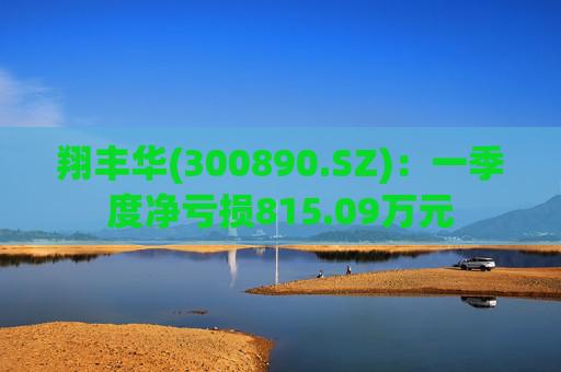 翔丰华(300890.SZ)：一季度净亏损815.09万元