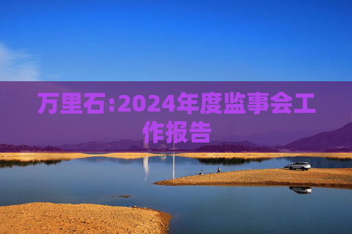 万里石:2024年度监事会工作报告