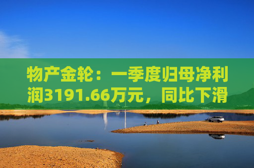 物产金轮：一季度归母净利润3191.66万元，同比下滑7.43%