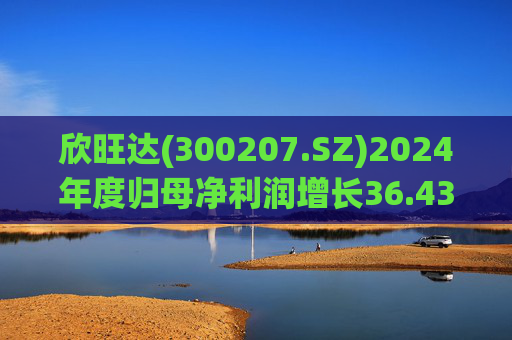 欣旺达(300207.SZ)2024年度归母净利润增长36.43%至14.68亿元，动力电池出货量合计25.29GWh  第1张