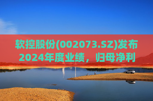 软控股份(002073.SZ)发布2024年度业绩，归母净利润5.06亿元，同比增长51.94%