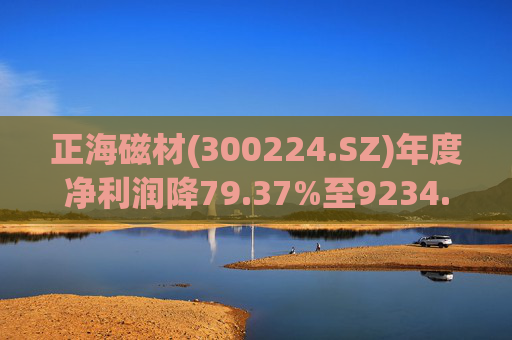 正海磁材(300224.SZ)年度净利润降79.37%至9234.02万元  高性能钕铁硼永磁材料销量实现连续七年增长