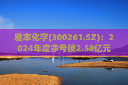 雅本化学(300261.SZ):2024年度净亏损2.58亿元 第1张 雅本化学(300261.SZ):2024年度净亏损2.58亿元 第1张