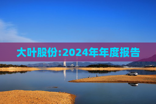 大叶股份:2024年年度报告