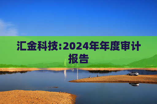 汇金科技:2024年年度审计报告