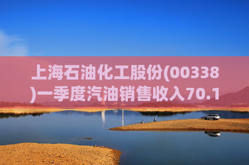 上海石油化工股份(00338)一季度汽油销售收入70.13亿元