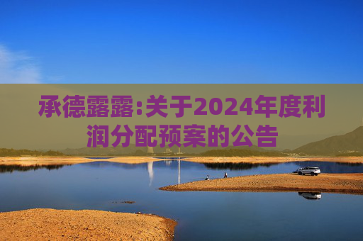 承德露露:关于2024年度利润分配预案的公告