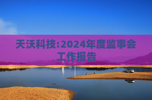 天沃科技:2024年度监事会工作报告