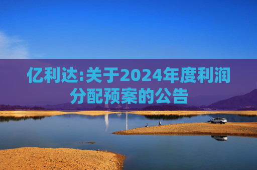 亿利达:关于2024年度利润分配预案的公告