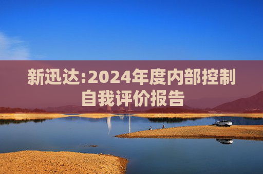 新迅达:2024年度内部控制自我评价报告