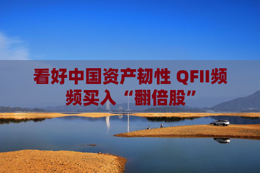 看好中国资产韧性 QFII频频买入“翻倍股”