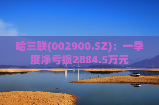 哈三联(002900.SZ)：一季度净亏损2884.5万元