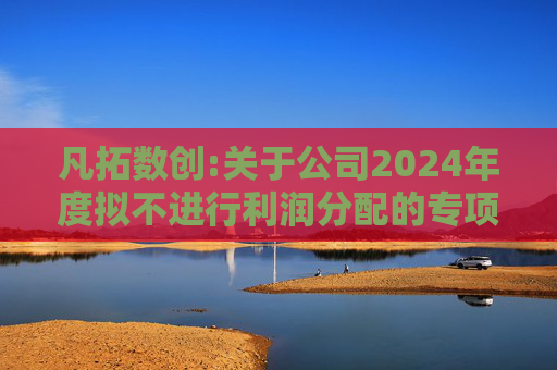凡拓数创:关于公司2024年度拟不进行利润分配的专项说明