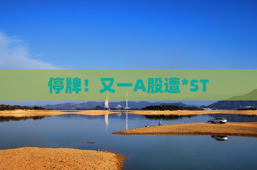 停牌！又一A股遭*ST