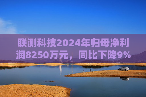 联测科技2024年归母净利润8250万元,同比下降9% 第1张 联测科技2024年归母净利润8250万元,同比下降9% 第1张