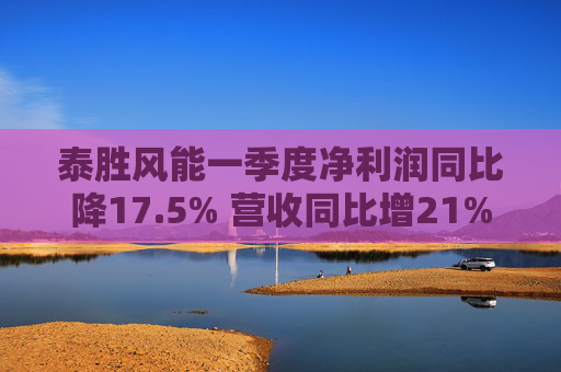 泰胜风能一季度净利润同比降17.5% 营收同比增21%