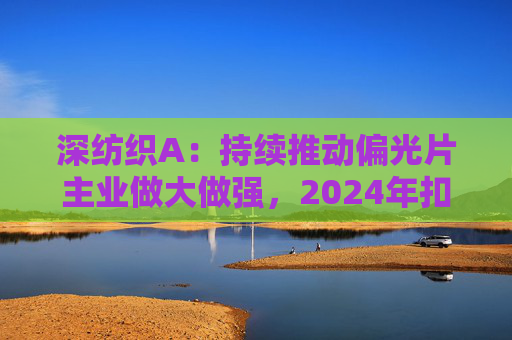 深纺织A：持续推动偏光片主业做大做强，2024年扣非归母净利润增长23.58%