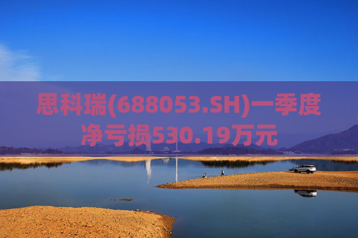 思科瑞(688053.SH)一季度净亏损530.19万元  第1张
