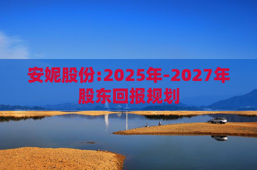 安妮股份:2025年-2027年股东回报规划
