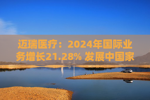 迈瑞医疗：2024年国际业务增长21.28% 发展中国家成重要增长引擎