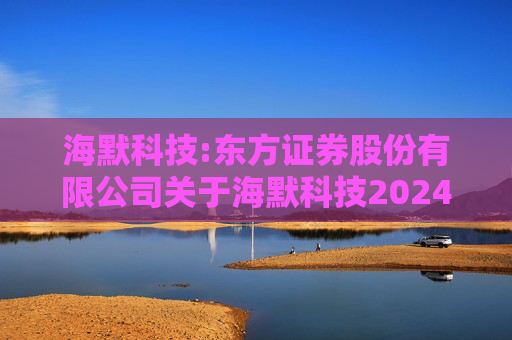 海默科技:东方证券股份有限公司关于海默科技2024年年度持续督导跟踪报告