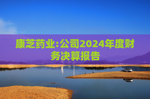 康芝药业:公司2024年度财务决算报告