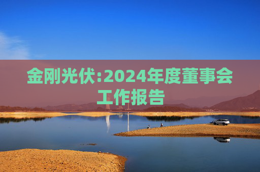 金刚光伏:2024年度董事会工作报告