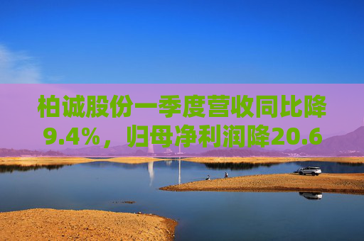 柏诚股份一季度营收同比降9.4%,归母净利润降20.6%