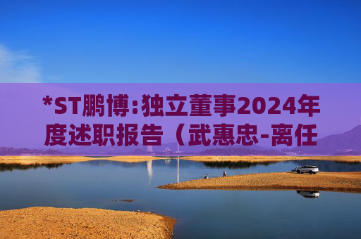 *ST鹏博:独立董事2024年度述职报告（武惠忠-离任）  第1张