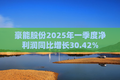 豪能股份2025年一季度净利润同比增长30.42% 第1张 豪能股份2025年一季度净利润同比增长30.42% 第1张