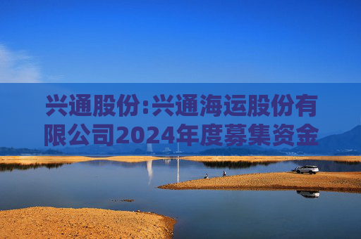 兴通股份:兴通海运股份有限公司2024年度募集资金存放与实际使用情况专项报告