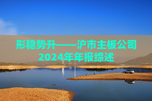 形稳势升——沪市主板公司2024年年报综述