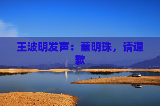 王波明发声：董明珠，请道歉