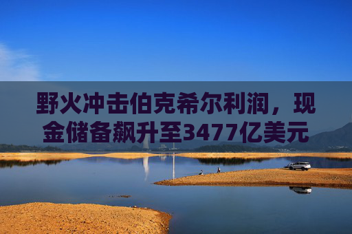 野火冲击伯克希尔利润，现金储备飙升至3477亿美元