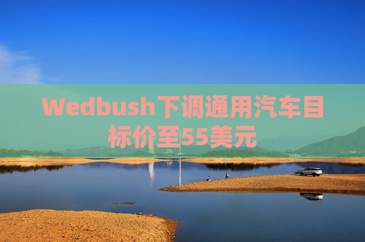 Wedbush下调通用汽车目标价至55美元