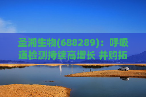 圣湘生物(688289):呼吸道检测持续高增长 并购拓展成长边界 第1张 圣湘生物(688289):呼吸道检测持续高增长 并购拓展成长边界 第1张