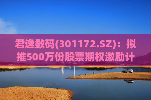 君逸数码(301172.SZ)：拟推500万份股票期权激励计划