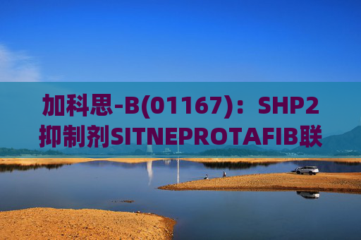 加科思-B(01167)：SHP2抑制剂SITNEPROTAFIB联用研究数据发表于学术期刊