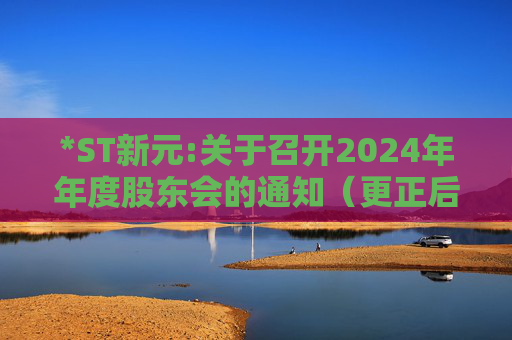 *ST新元:关于召开2024年年度股东会的通知（更正后）