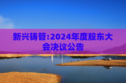 新兴铸管:2024年度股东大会决议公告