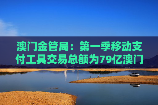 澳门金管局：第一季移动支付工具交易总额为79亿澳门元 同比上升8.7%