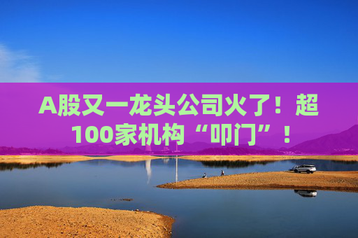 A股又一龙头公司火了！超100家机构“叩门”！  第1张