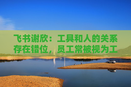 飞书谢欣:工具和人的关系存在错位,员工常被视为工具的附属